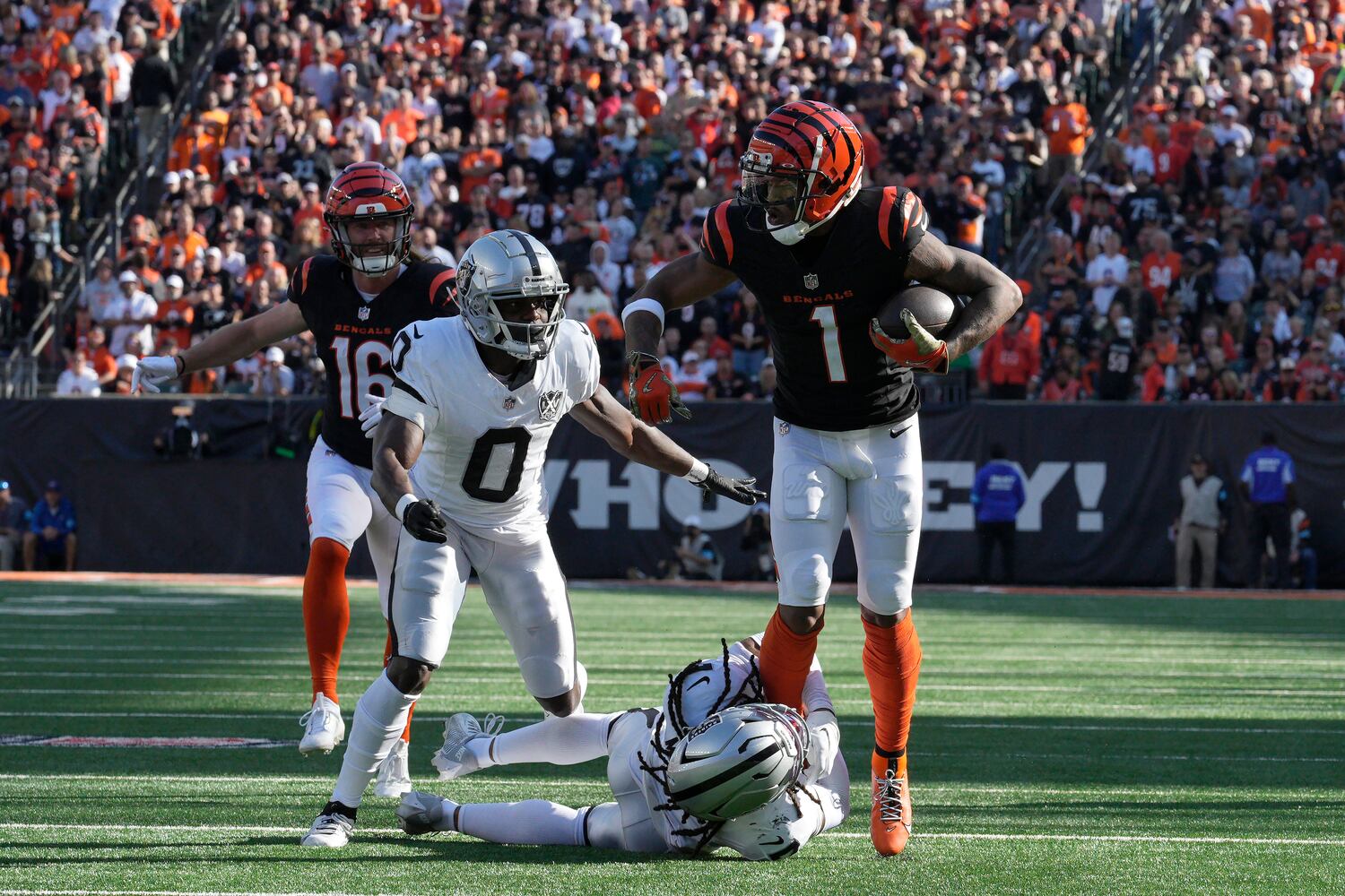 Raiders Bengals Football