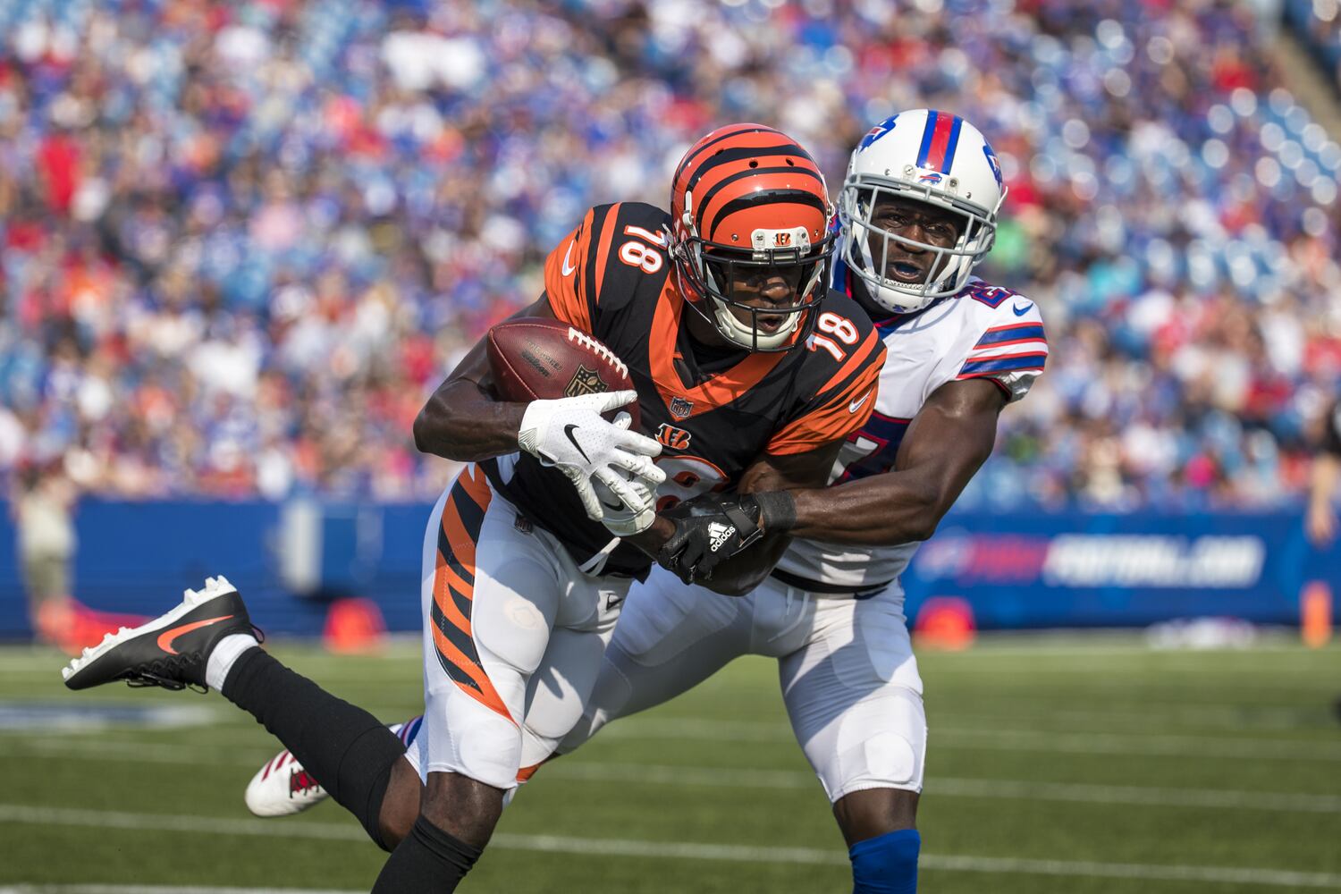 bengals-bills