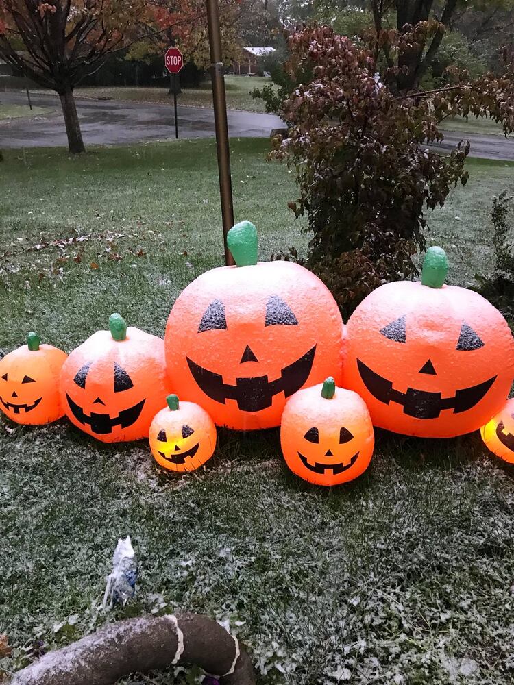 Photos: First Snowfall