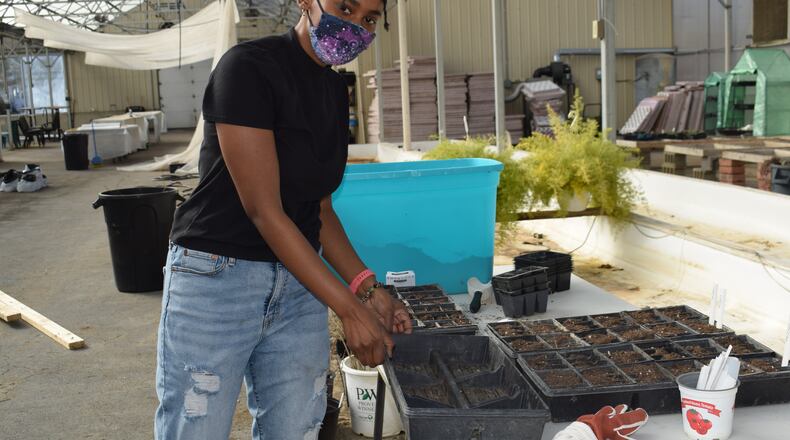 Chebrya Jeffrey, seen here preparing flats for planting at a greenhouse, will be one of the presenters in a new virtual gardening series presented by Springfield Ohio Urbana Plantfolk (SOUP) and the Clark County Public Library. Contributed photo