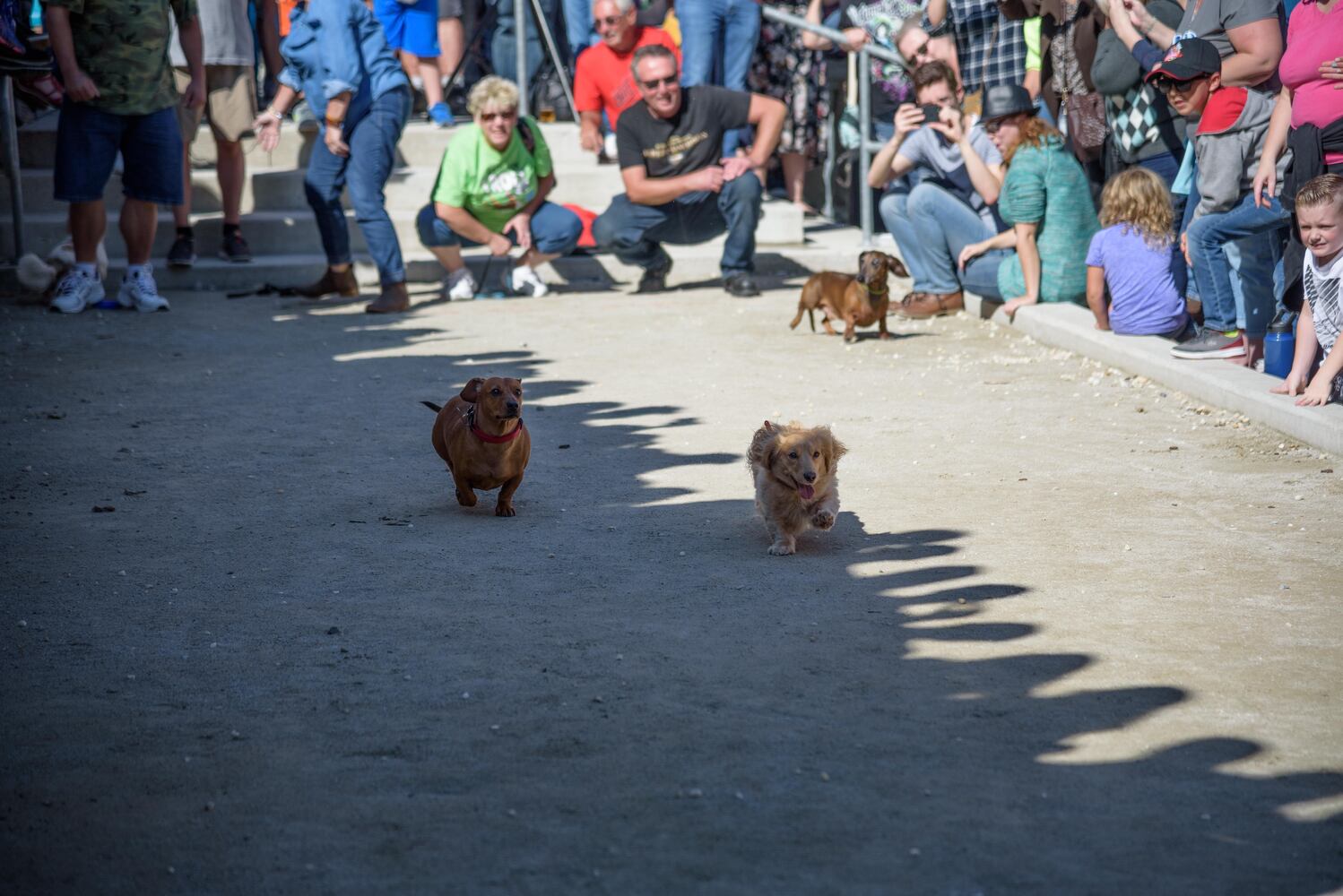 PHOTOS: Did we spot you keeping the Oktoberfest celebrations going this weekend?