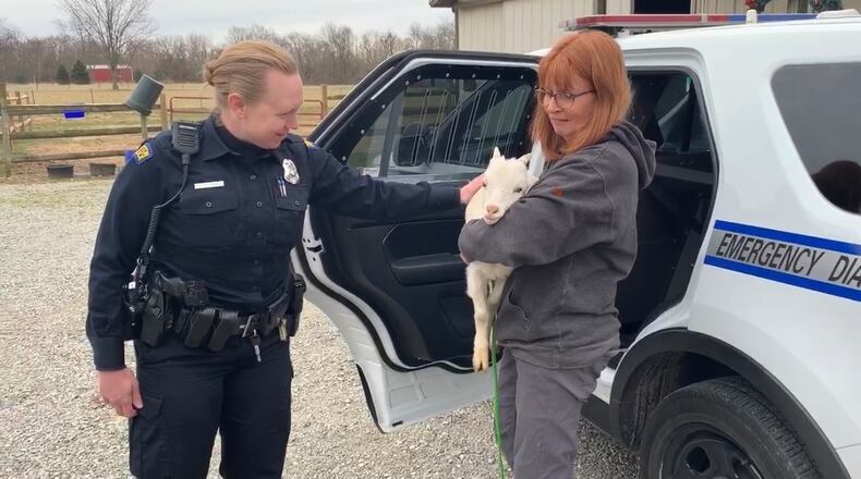 Barb Gay (right) of Wild Again Rescue in Spring Valley receives a goat being delivered by Dayton Police Officer Cantrell. You can't have goats in the City of Dayton. The rescue operation has named the goat Cruiser. TREVOR GAY/CONTRIBUTED