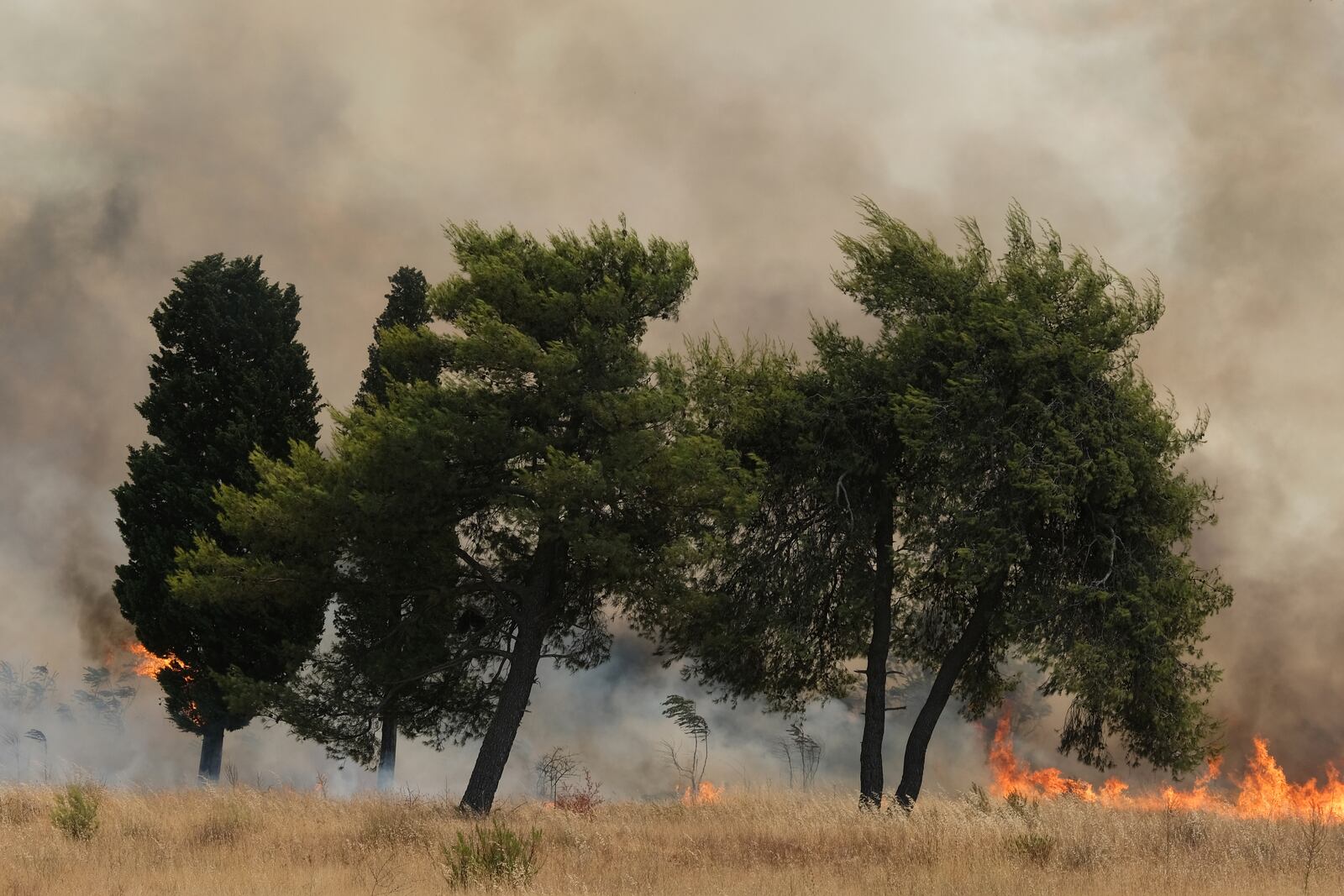 Smoke rises from trees burned by wildfire near Montenegro capital Podgorica, Sunday, July 27, 2025. (AP Photo/Risto Bozovic)