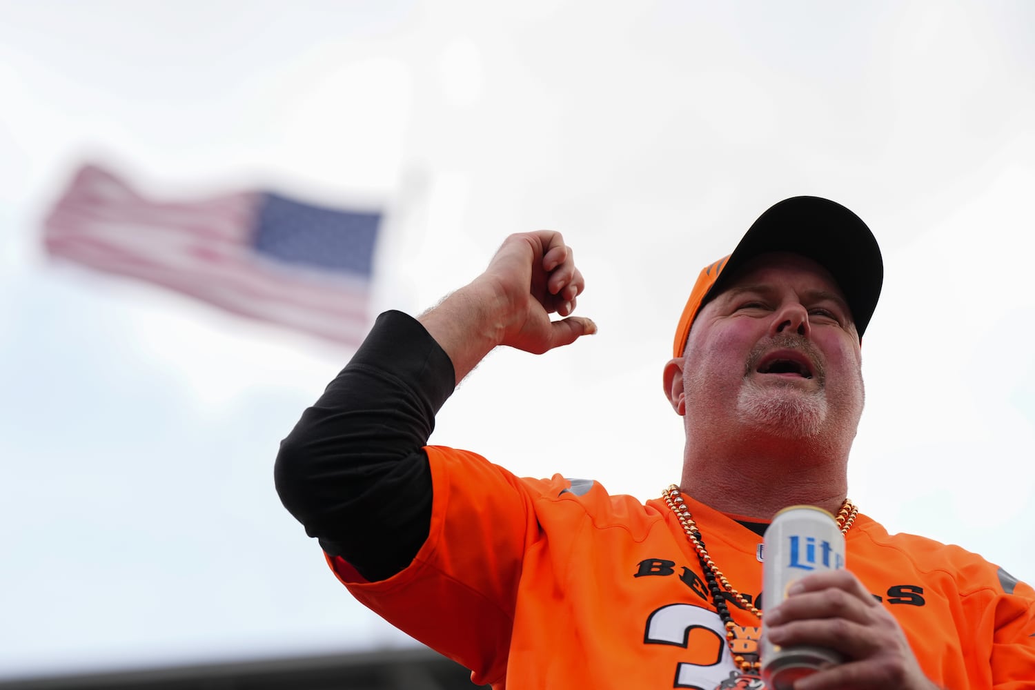 Cardinals Bengals Football