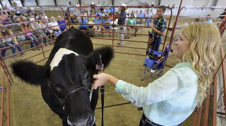 Sydney Peters shows her Grand Champion Steer on the auction block at the 2015 Clark County Fair. Bill Lackey/Staff