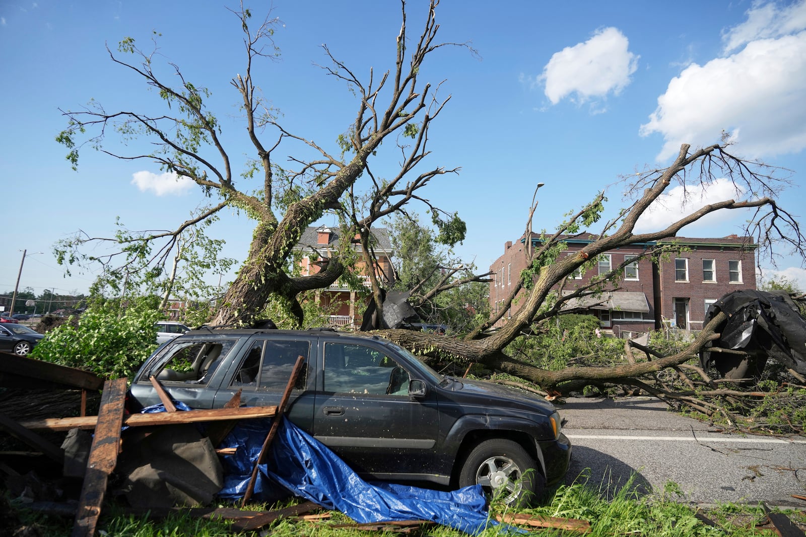 A large tree blocks a road after a severe storm moved through Friday, May 16, 2025, in St. Louis. (AP Photo/Jeff Roberson)