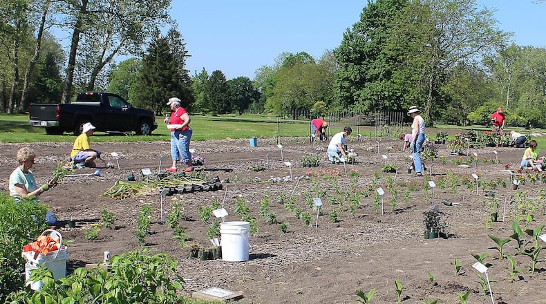 Clark County Master Gardener volunteers help plant the research garden in Snyder Park in May. Applications are being accepted now for Master Gardener training scheduled to begin in January. JEFF GUERINI/STAFF
