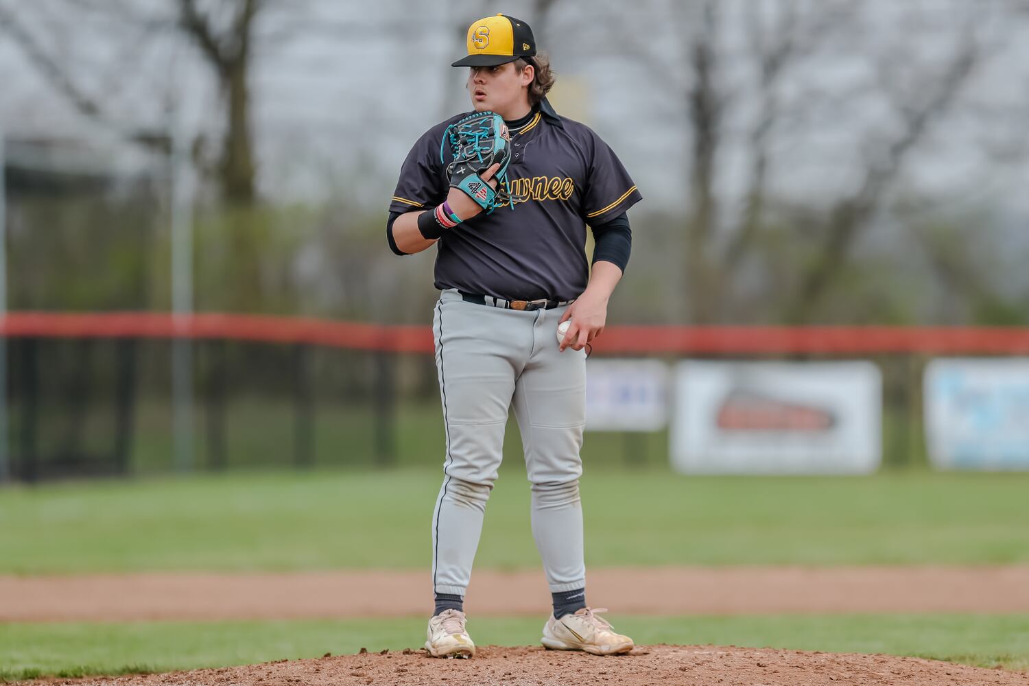 hs baseball