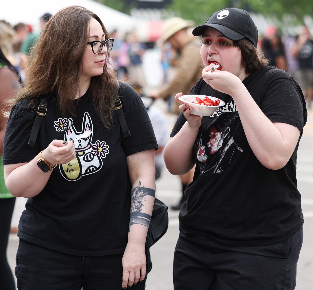 Troy Strawberry Festival 2025 061725 DDN