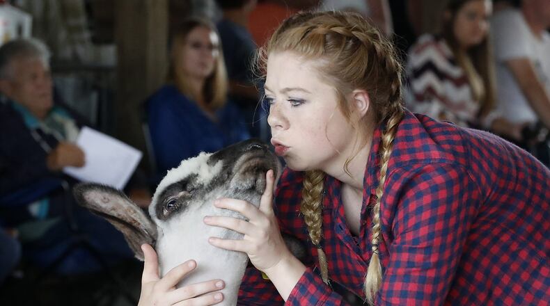 Taylor Ruff gives her sheep a smooch as she shows the animal at the Champaign County Fair Monday. Bill Lackey/Staff
