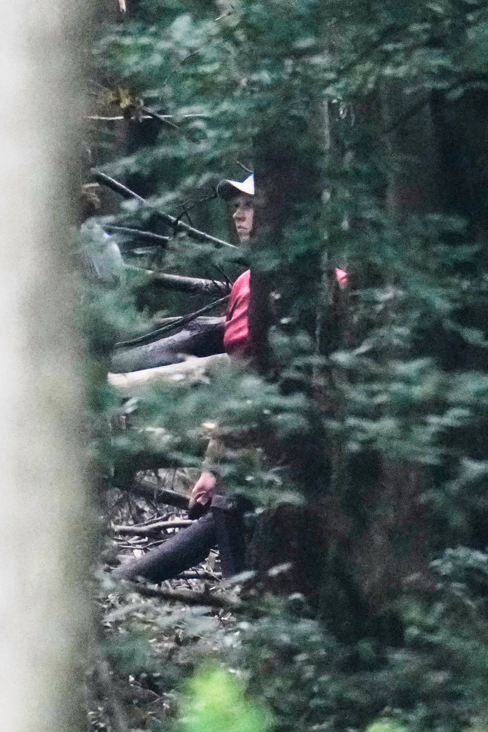 An investigator can be seen through the trees in Howland, Ohio, Monday, June 30, 2025, following a small plane crash in a heavily wooded area outside the Yougstown-Warren Regional Airport on Sunday, June 29, 2025. (AP Photo/Sue Ogrocki)