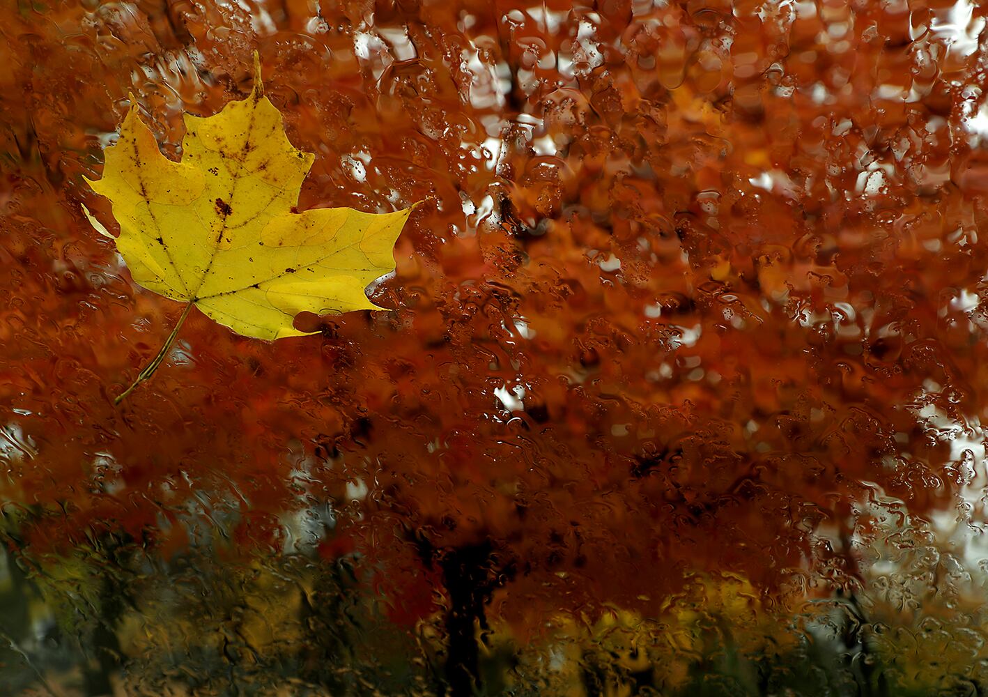 Clark County Fall Colors