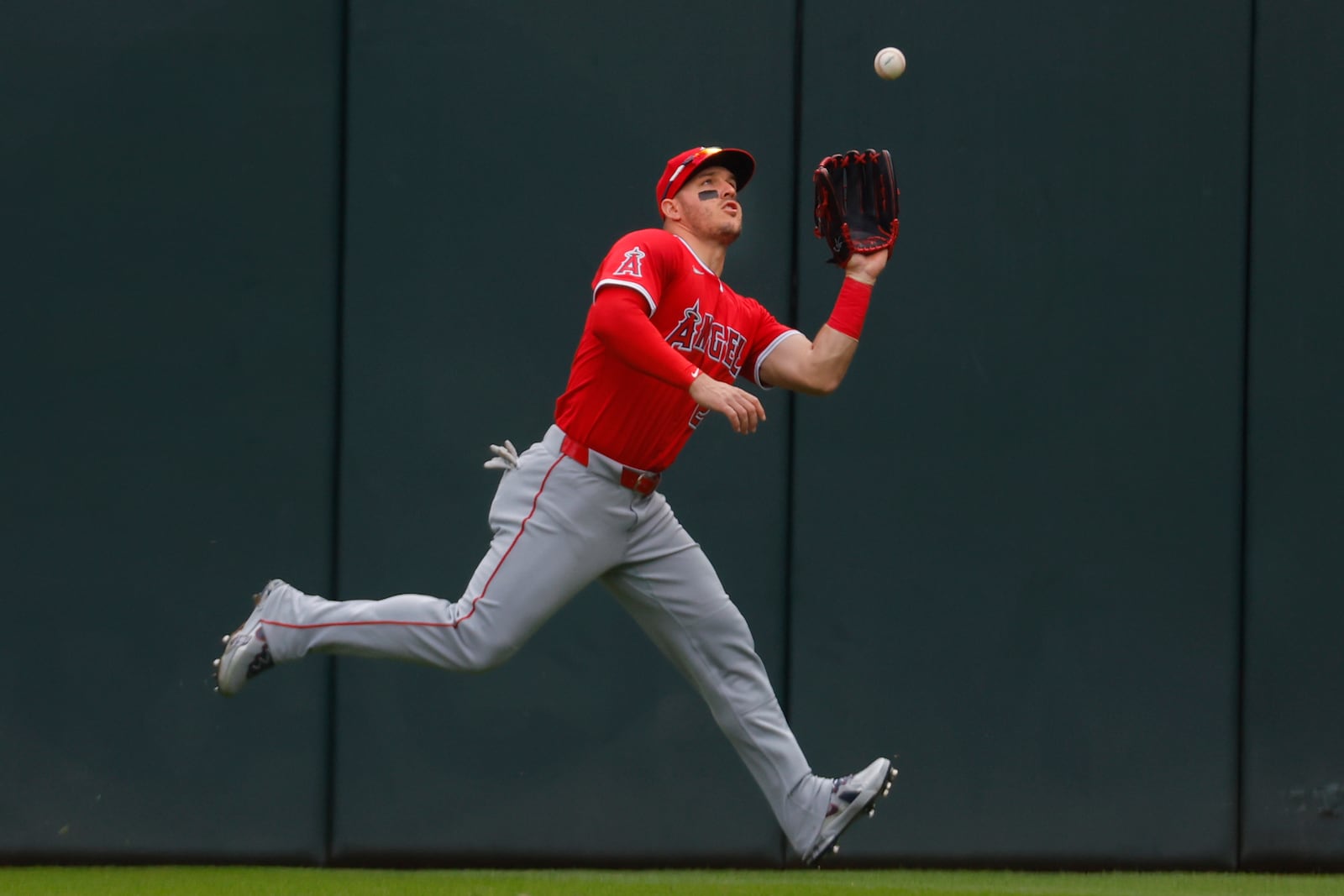 Los Angeles Angels right fielder Mike Trout catches a fly ball hit by Minnesota Twins' Ryan Jeffers in the fourth inning of a baseball game Sunday, April 27, 2025, in Minneapolis. (AP Photo/Bruce Kluckhohn)
