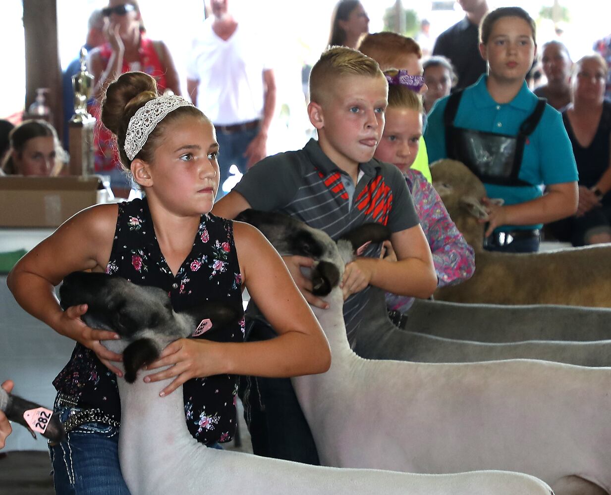 2018 Champaign County Fair - Monday