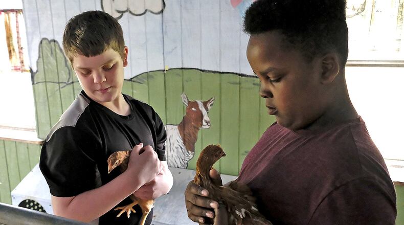 Ethan Brooks, left and Iverson May take care of some young chickens at On the Rise farm Thursday. The farm, which gives at-rinsk young people a chance to learn and grow as they work on a farm, recently received a $7,000 grant from the Community Health Foundation for the 2017-18 grant cycle. The Community Health Foundation is giving out more than $180,000 in grant money this year, tripling the amount it gave out four years ago. Bill Lackey/Staff