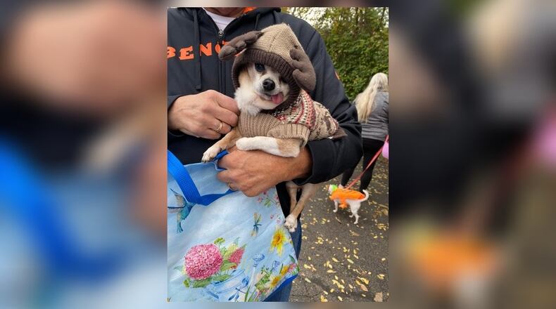 King Kennel will host its fourth annual trunk or treat for dogs from 1 to 3 p.m. on Saturday, Oct. 19, in the parking lot at 20 Critter Court. Contributed