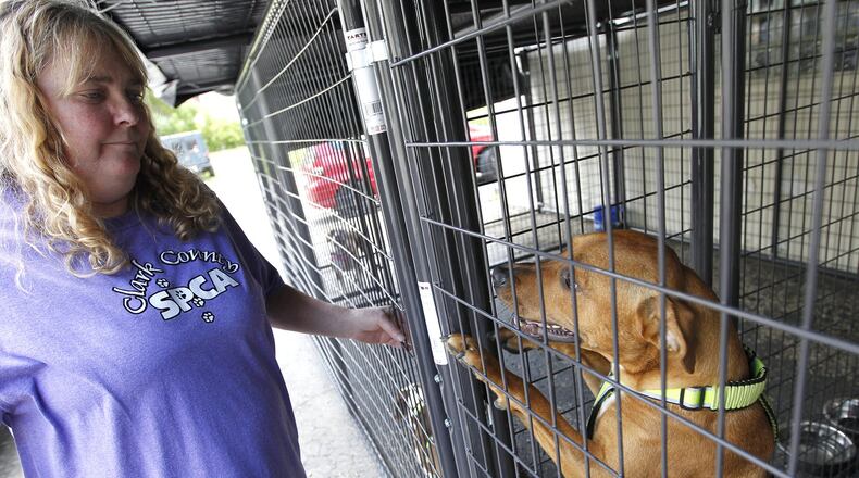 Krissi Hawke plays with Scooby, one of the dogs in the kennels at the new Clark County SPCA Thursday, June 8, 2017. Bill Lackey/Staff