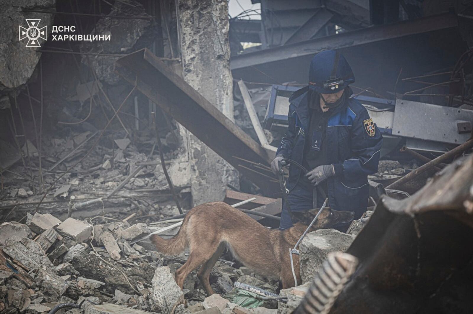 In this photo provided by the Ukrainian Emergency Service, a rescuer and his dog search for victims following a Russian rocket attack in Kharkiv, Ukraine, Tuesday, Tuesday, June 10, 2025. (Ukrainian Emergency Service via AP)