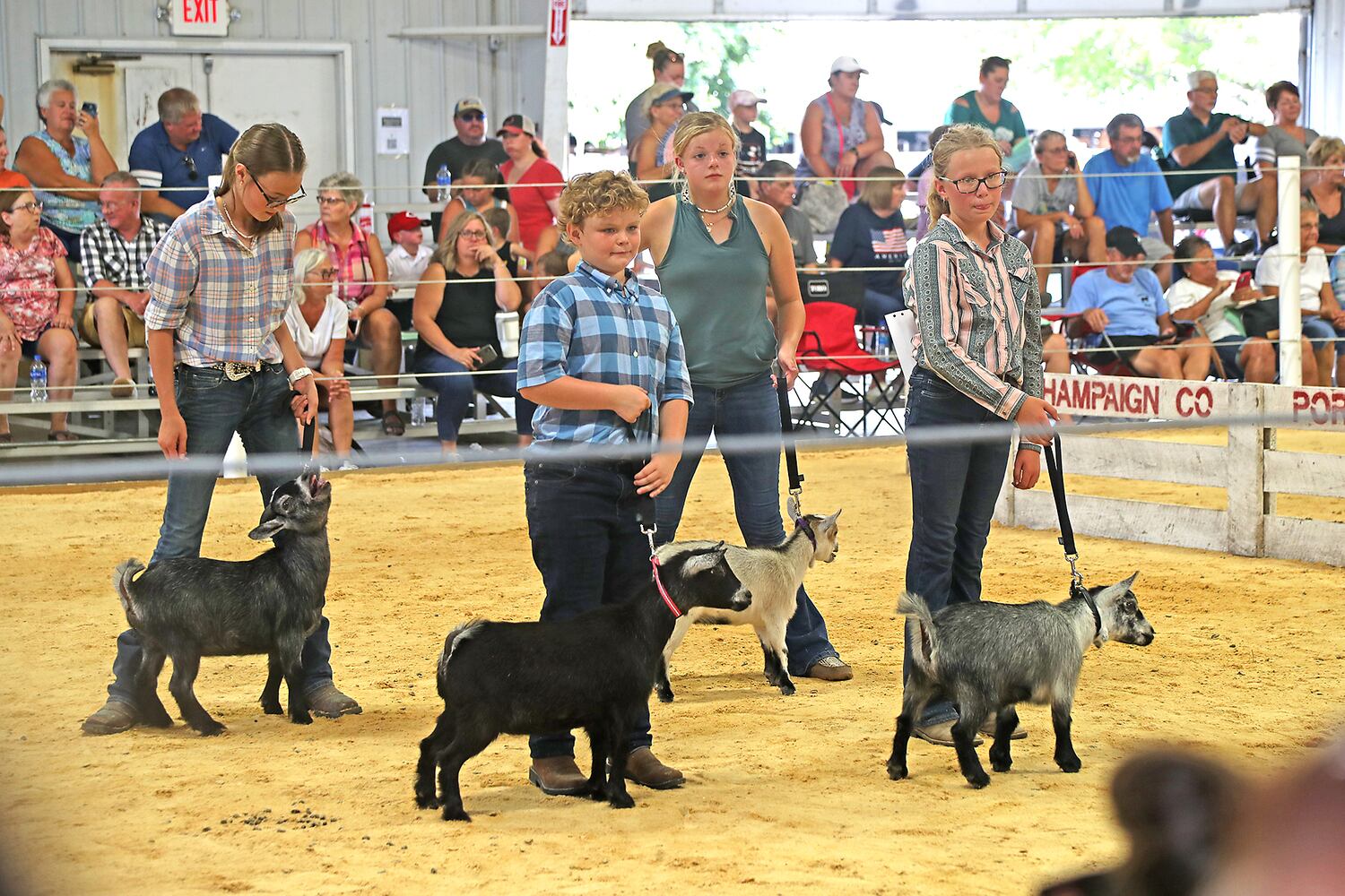 080822 Champaign Fair SNS