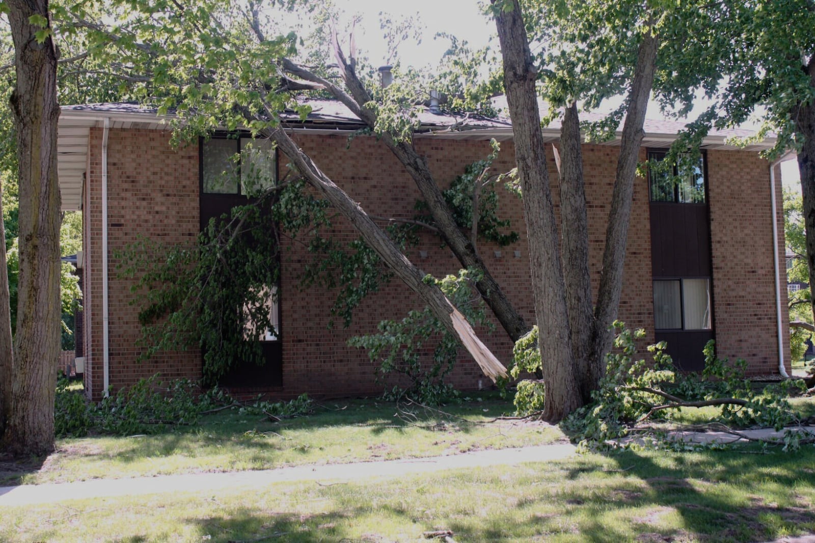 A snapped tree is shown up against an apartment on Salem Court in Michigan City, Ind. on Friday, May 16, 2025. (Donavan Barrier /La Porte County Herald-Dispatch via AP)