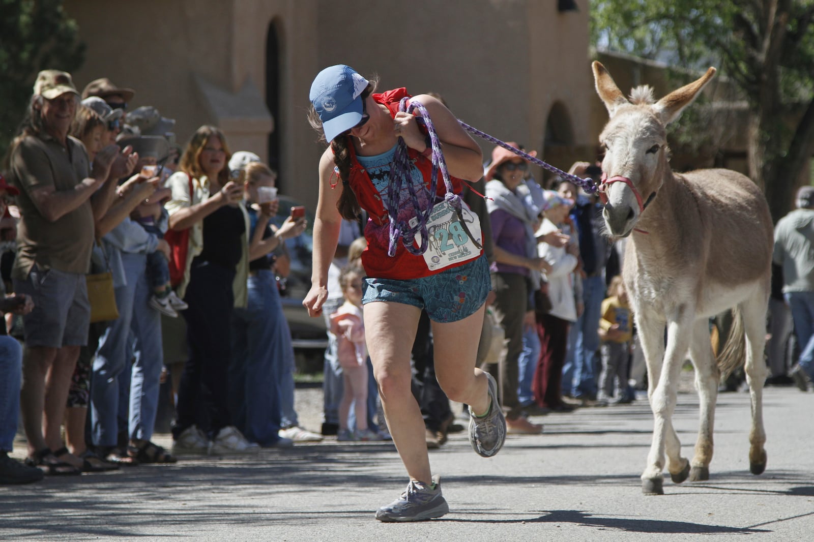 Pack burros and their human companions race through the streets of a former mining town and across backcountry desert trails in Cerrillos, N.M., on Saturday, May 3, 2025. (AP Photo/Morgan Lee)