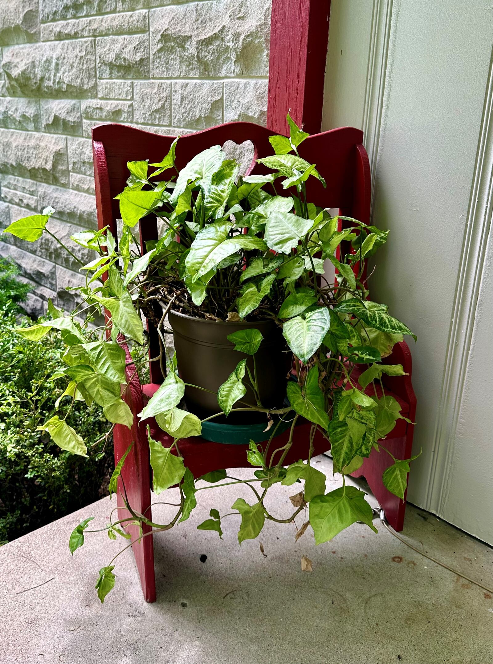 Susan Walters Crowe enjoys repurposing vintage finds. This plant stand, for example, is near the front entrance. ROBIN McMACKEN / STAFF 