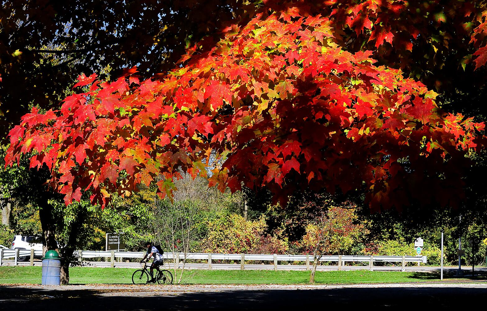 Clark County Fall Colors