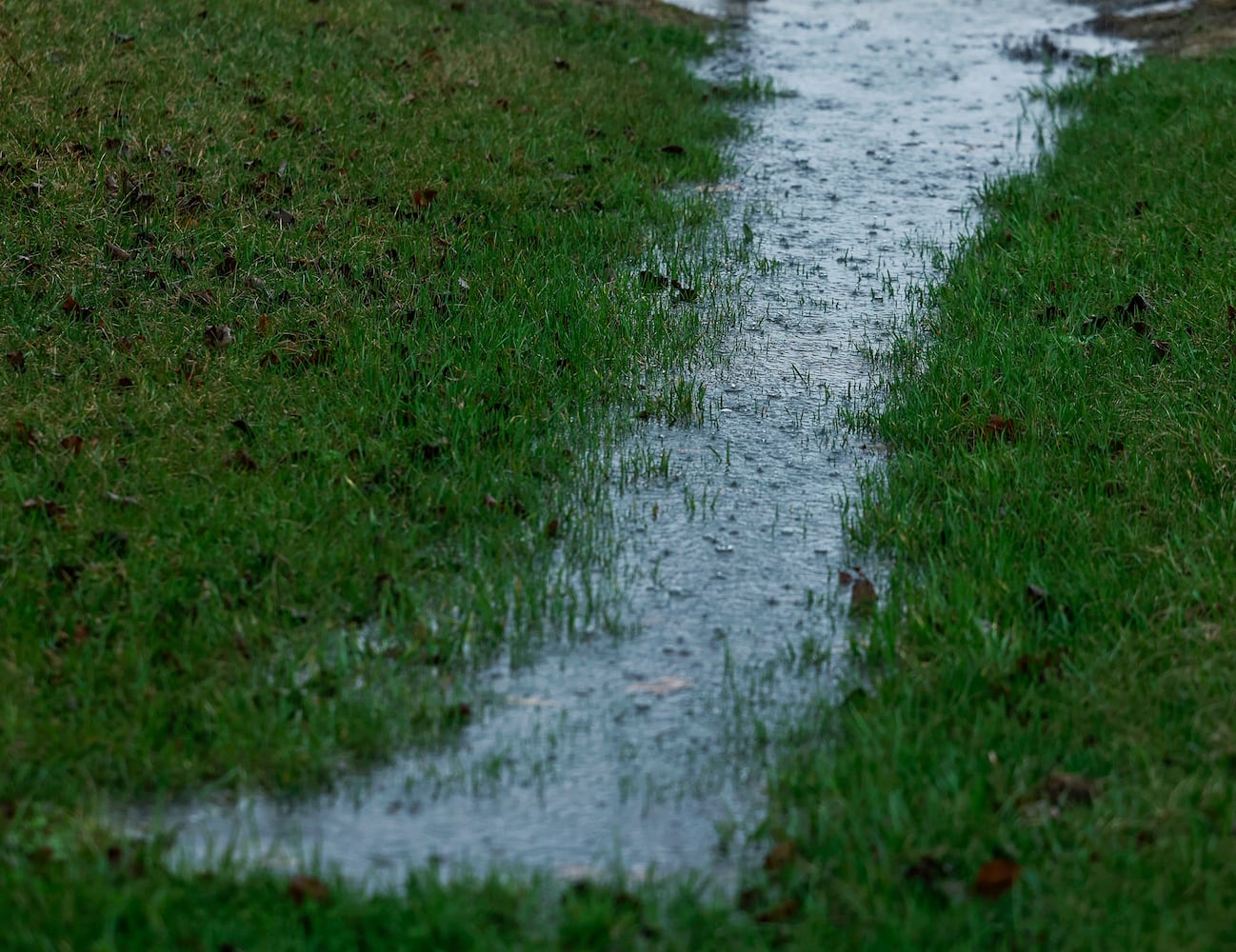 Rainy Springfield Weather