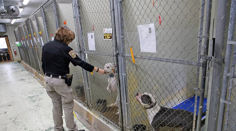 Clark County Dog Warden Sandi Click visits with the dogs up for adoption in the Clark County Dog Shelter Thursday, Jan. 18, 2024. BILL LACKEY/STAFF