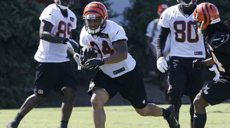 Cincinnati Bengals running back Daniel Herron (34) runs the ball during practice at the NFL football team's training camp, Thursday, July 25, 2013, in Cincinnati. (AP Photo/Al Behrman)