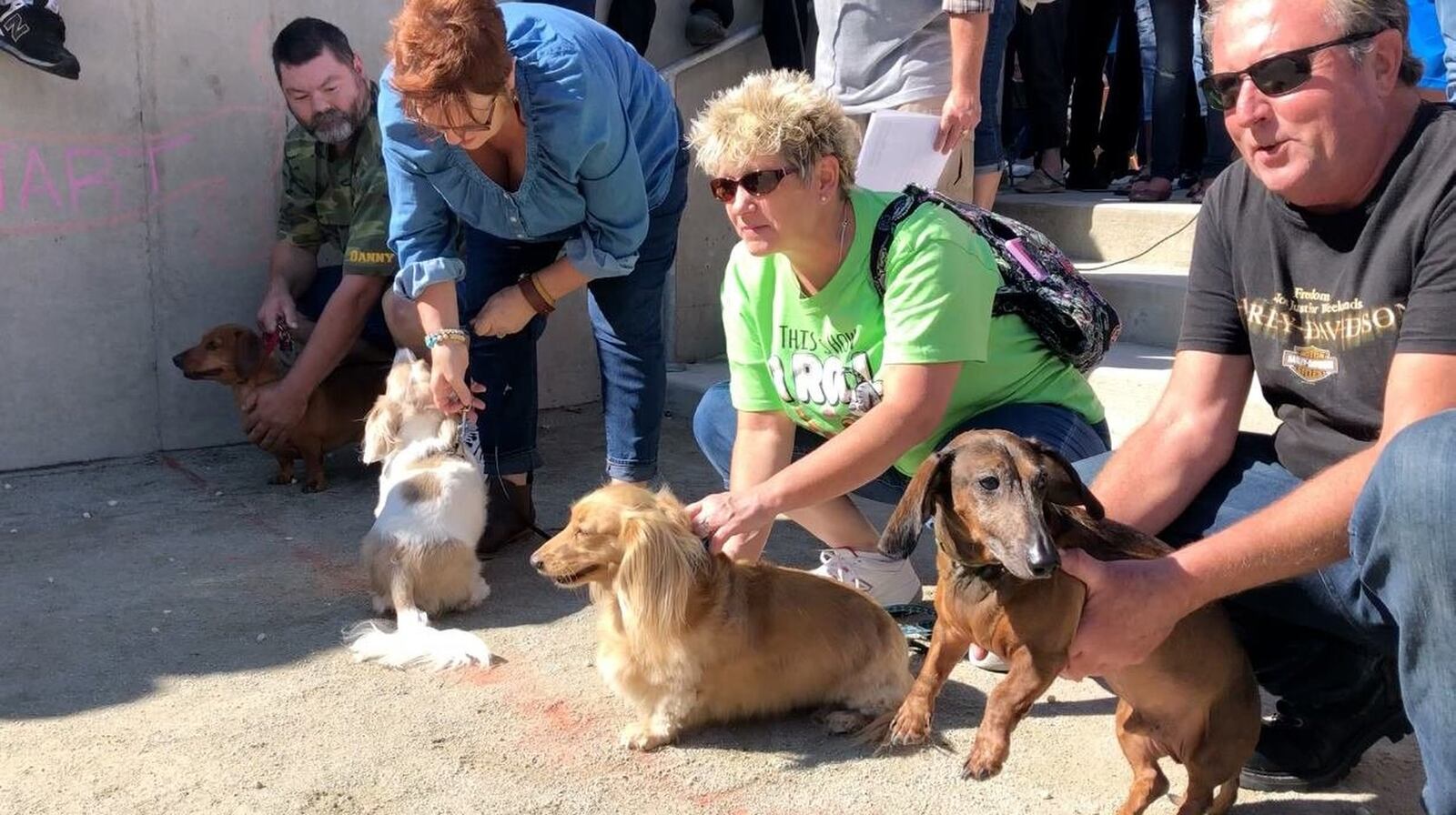 The wiener dog race will be one of the highlights of the second MustardFest on Saturday. It will move to the National Road Commons Park. CONTRIBUTED