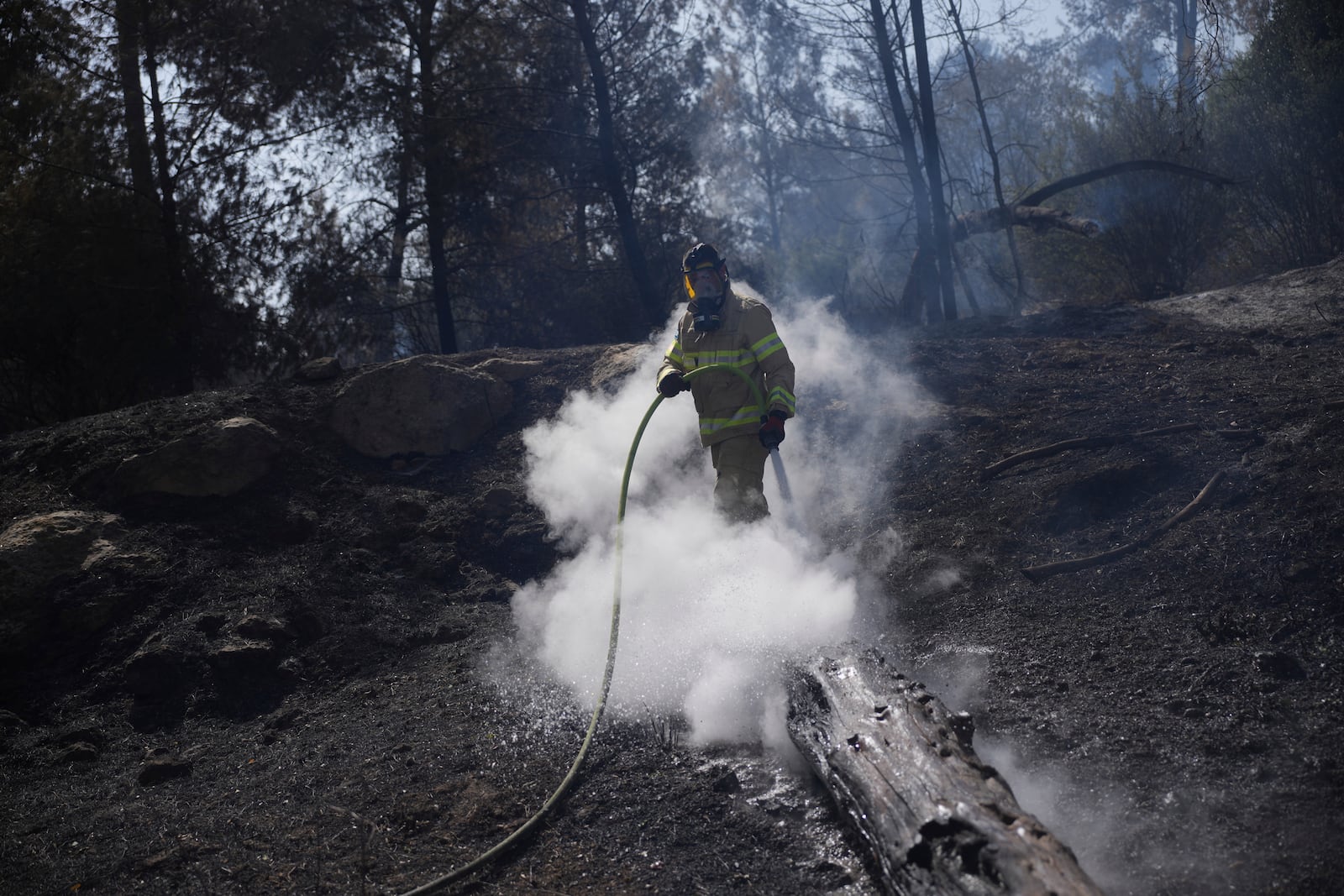 An Israeli fire fighter works to extinguish a wildfire in Latrun, Israel, outside of Jerusalem Thursday, May 1, 2025. (AP Photo/Ohad Zwigenberg)