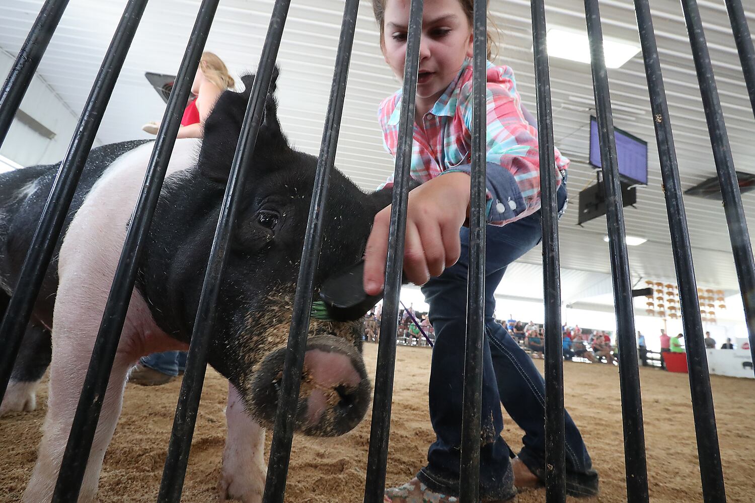 2018 Champaign County Fair - Monday