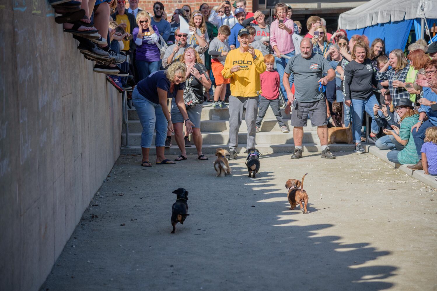 PHOTOS: Did we spot you keeping the Oktoberfest celebrations going this weekend?