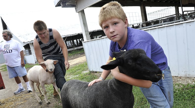 Derek McNeely, 10, right, and his brother, Devin, 16, lead their sheep from the trailer to their pens at the Champaign County Fairgrounds Thursday as they get ready for the fair, which starts Friday. Bill Lackey/Staff