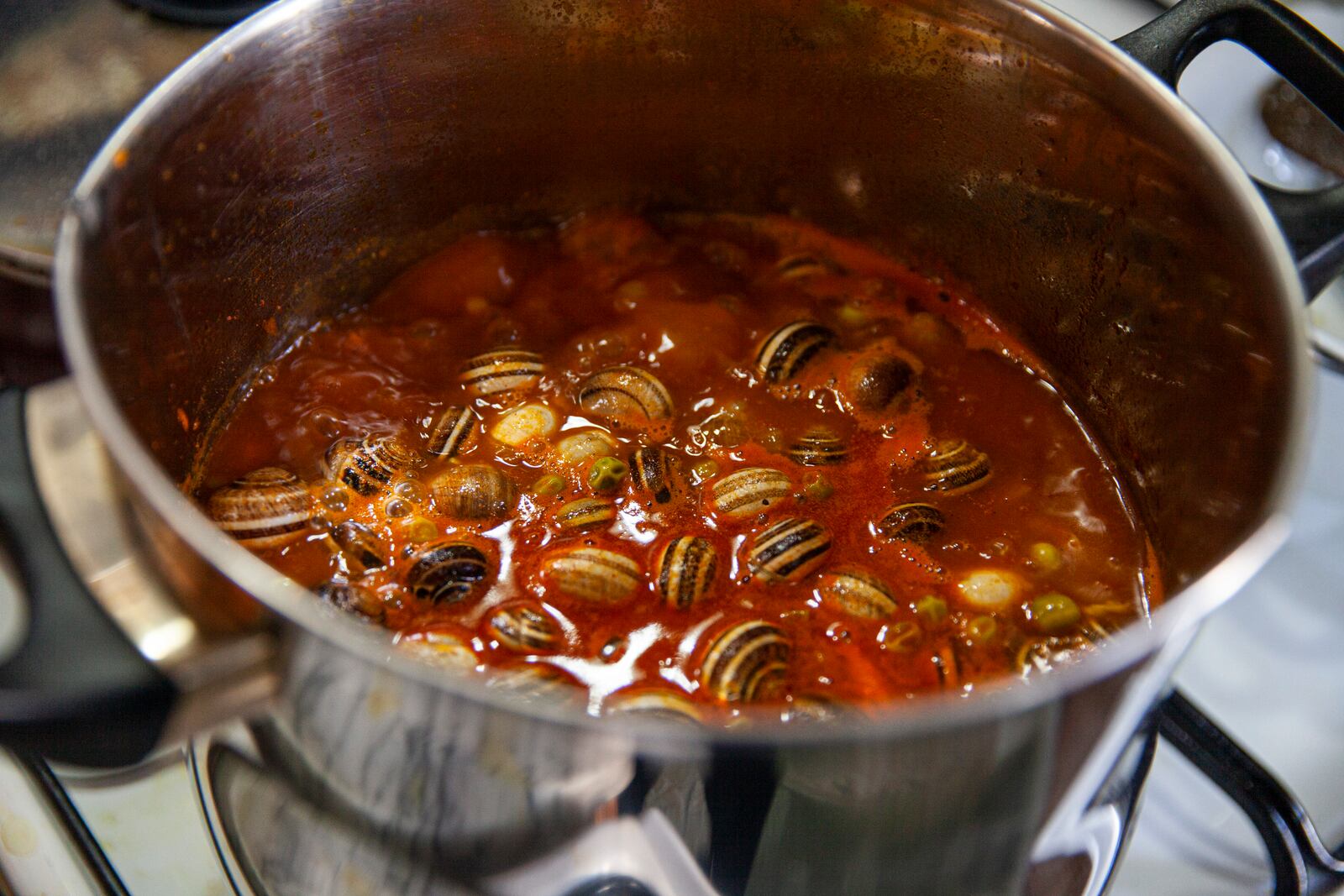 Snails are cooked in a stew for a family to break their Ramadan fast, in Sfax, Tunisia, March 29, 2025. (AP Photo/Ons Abid)