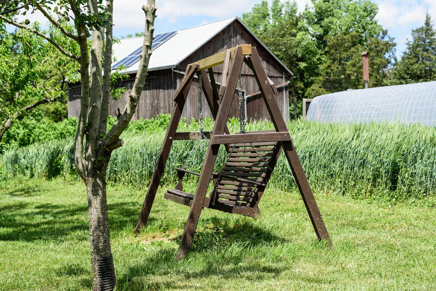 PHOTOS: Wooly Wonders - Spring on the Farm Family Event at Learning Tree Farm