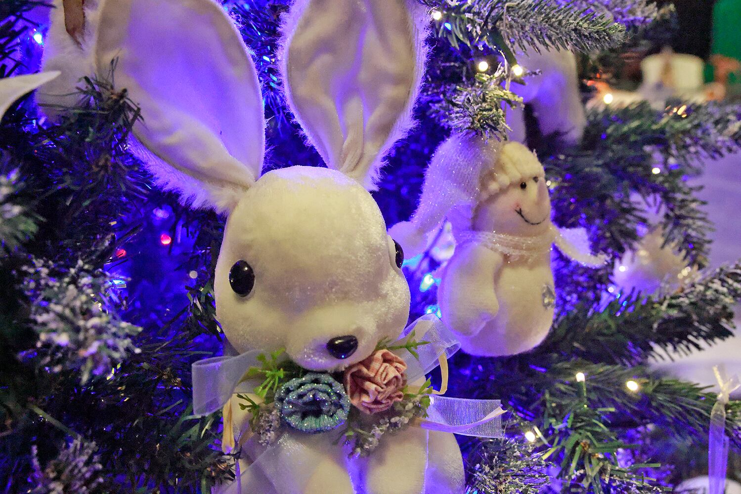 Enchanted Forest SNS
