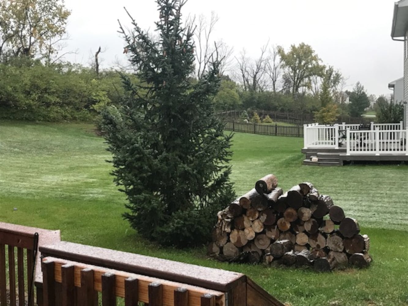 Photos: First Snowfall