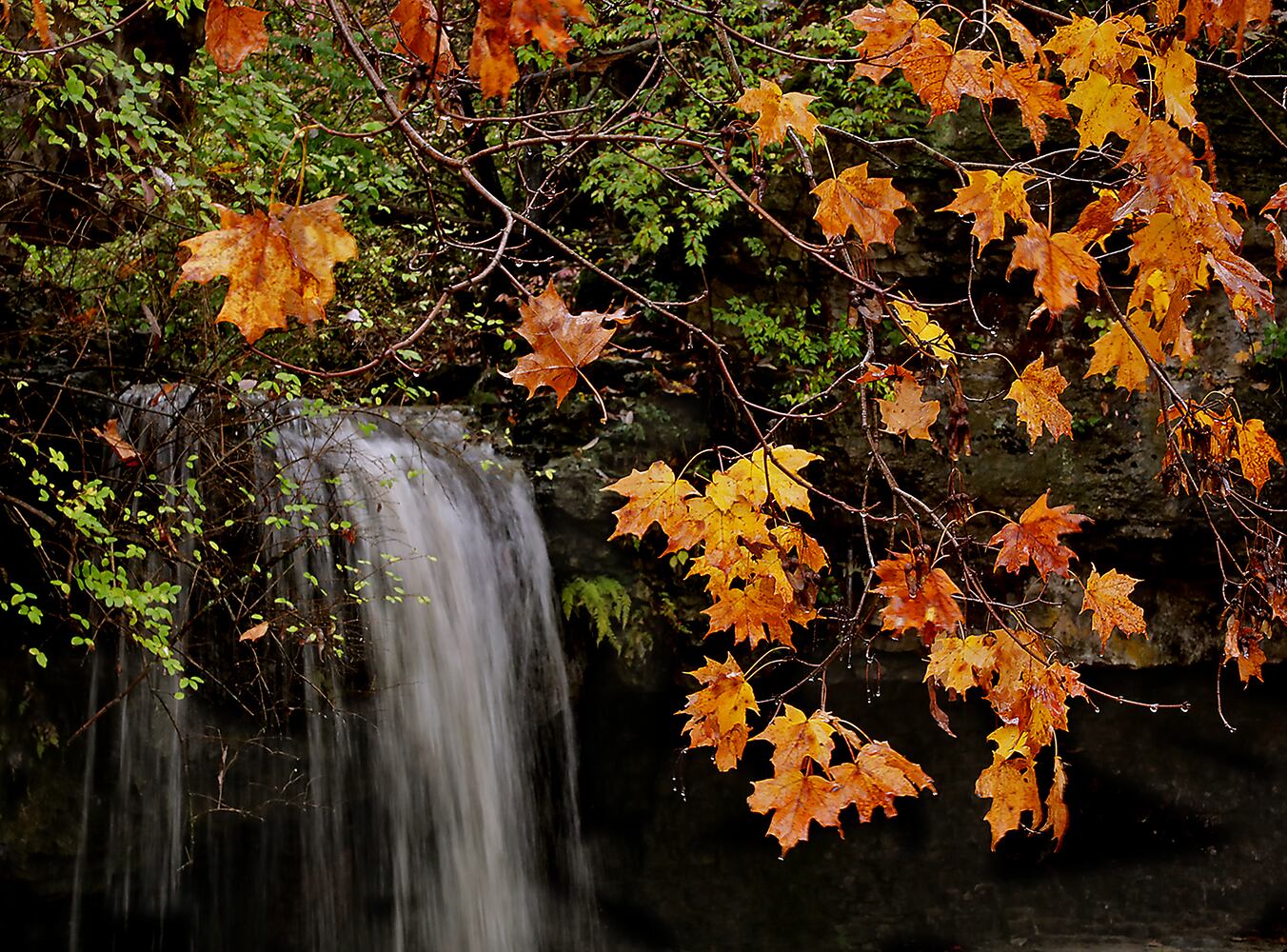 Clark County Fall Colors