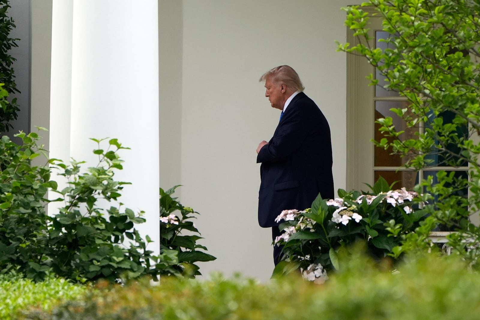 President Donald Trump walks from the Oval Office to depart on Marine One from the South Lawn of the White House, Thursday, May 1, 2025, in Washington. (AP Photo/Alex Brandon)