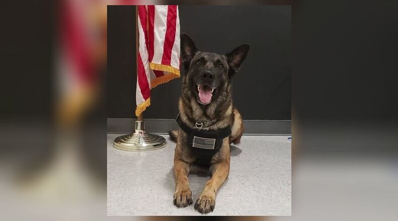 K-p Bandit (Contributed Photo/Shelby County Sheriff's Office Facebook Page)