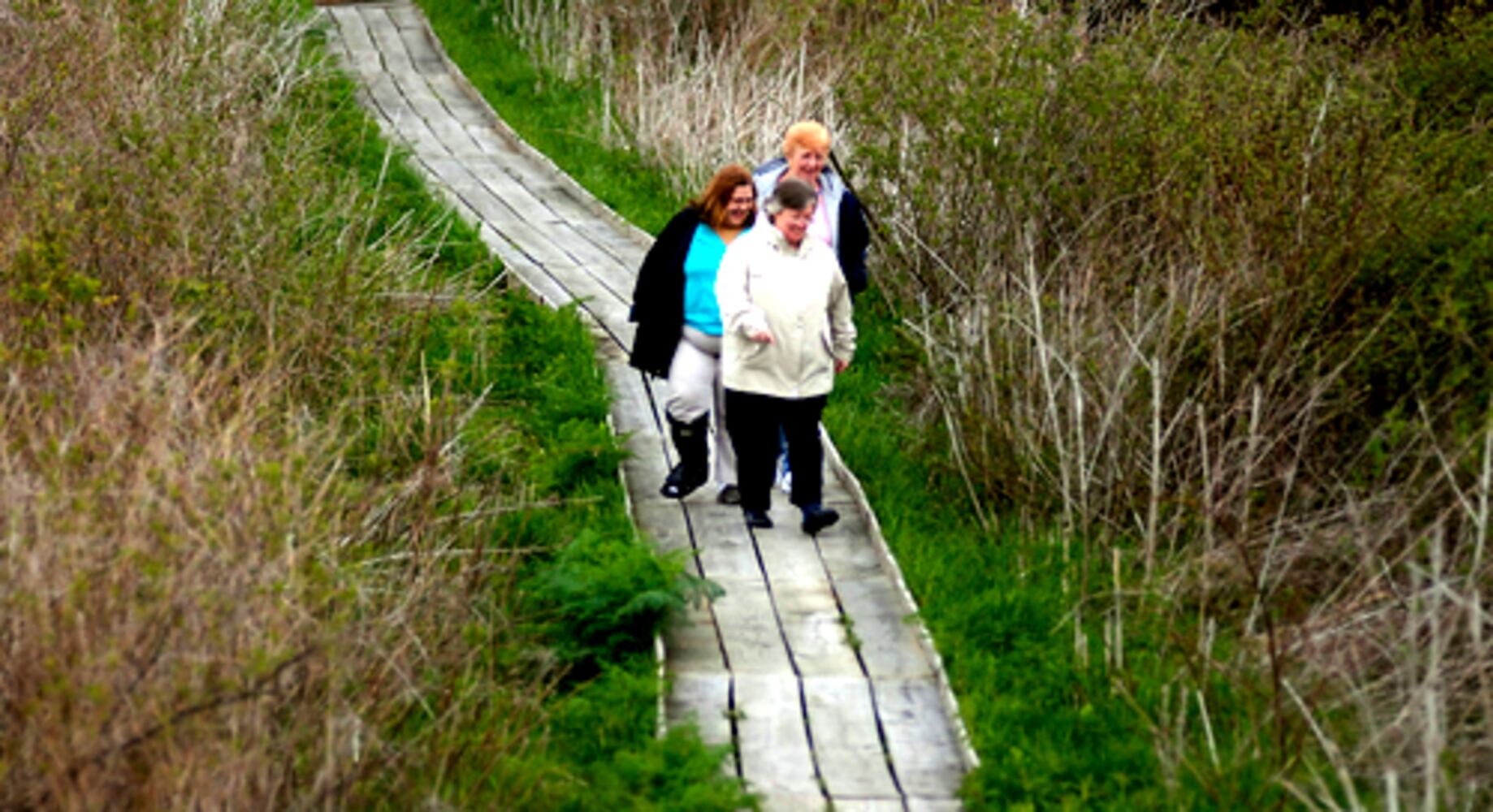 Cedar Bog