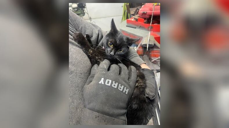 Safe and sound. Submitted by Kelsea Grise