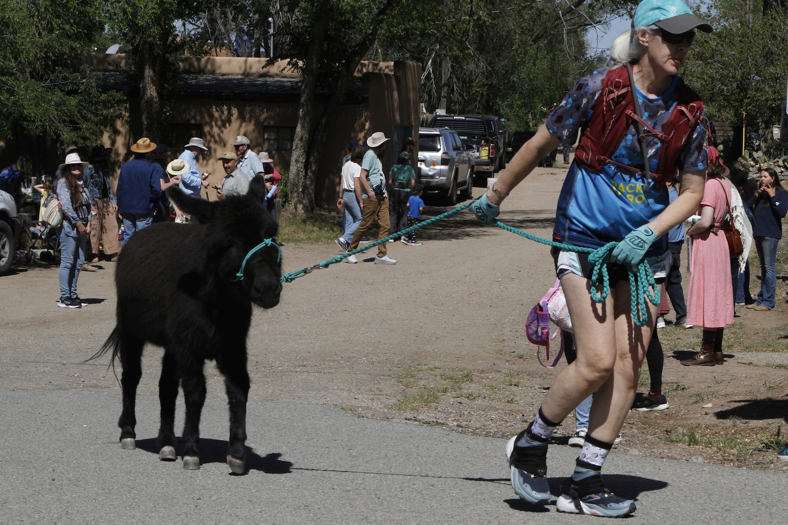 Pack burros and their human companions race through the streets of a former mining town and across backcountry desert trails in Cerrillos, N.M., on Saturday, May 3, 2025. (AP Photo/Morgan Lee)