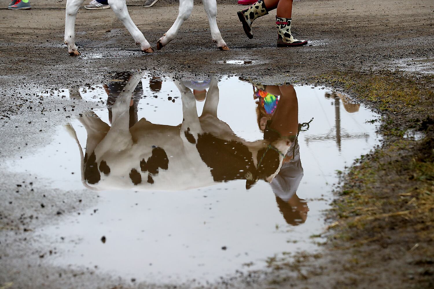 2018 Clark County Fair Day 2
