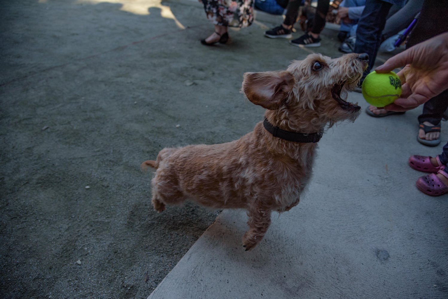 PHOTOS: Did we spot you keeping the Oktoberfest celebrations going this weekend?