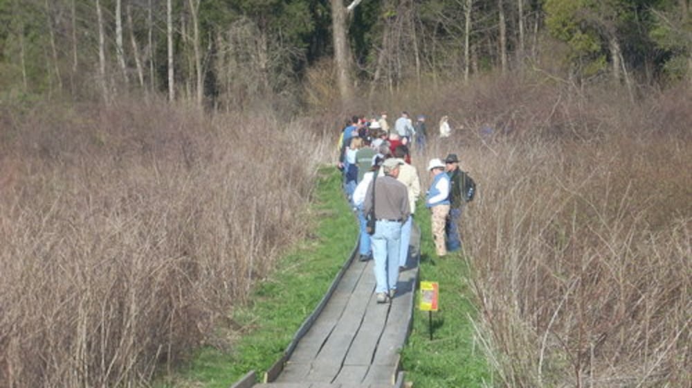 Right off Route 68 in Urbana, you can find Cedar Bog Nature Preserve, one of Ohio’s most unique biomes spanning 450 acres. CONTRIBUTED