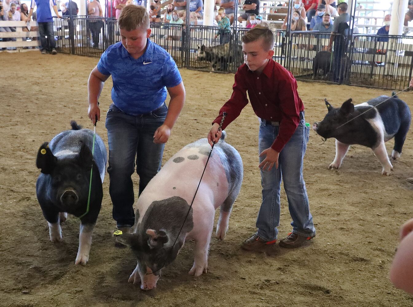 Clark County Fair