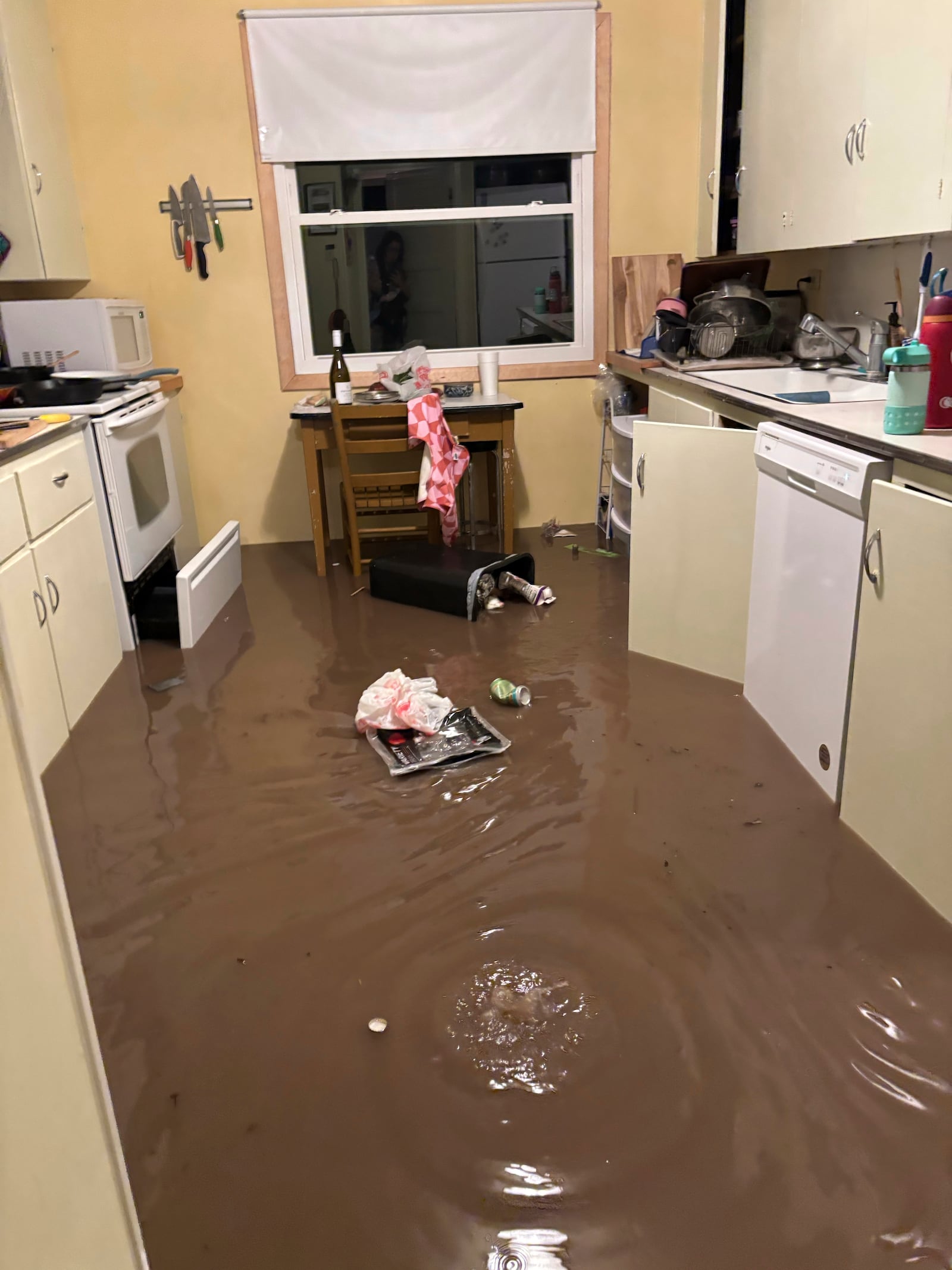 Water floods the kitchen of the cabin of Alden Towler, Shabd Simon-Alexander, and her one-year-old daughter in Hunt, Texas at 4:12 a.m. on Friday, July 4, 2025. (Shabd Simon-Alexander via AP)